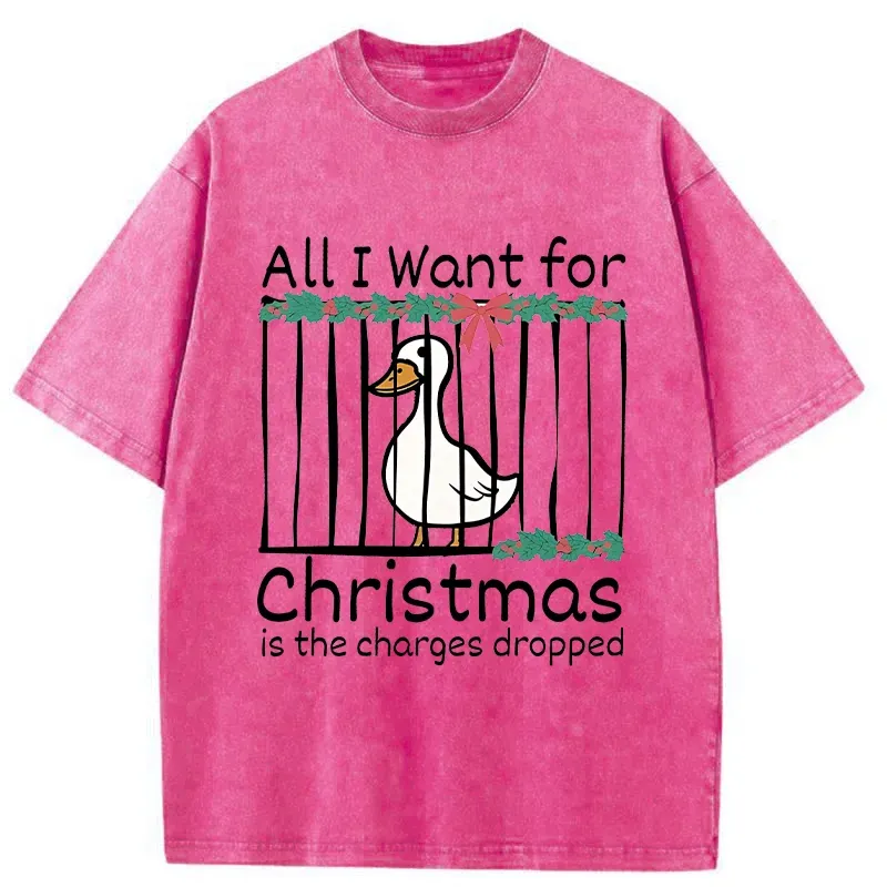 Tokyo-Tiger Christmas Stupid Goose Washed T-Shirt