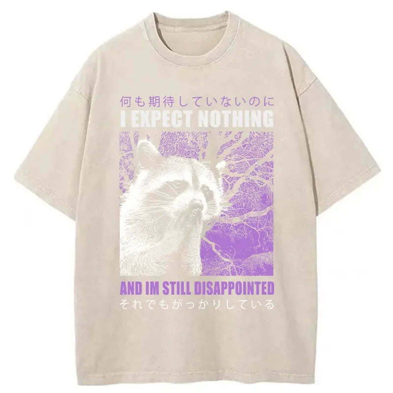 Tokyo-Tiger Disappointed Raccoon Japanese Washed T-Shirt