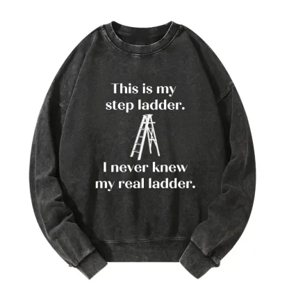 Tokyo-Tiger A Real Ladder Funny Washed Sweatshirt