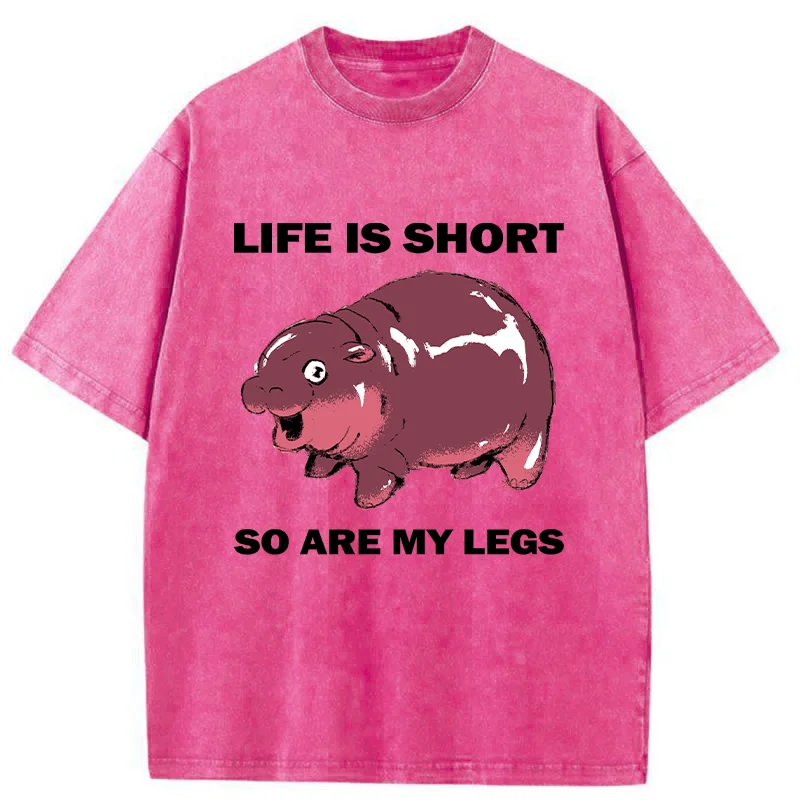 Tokyo-Tiger Short Legs Short Life Washed T-Shirt