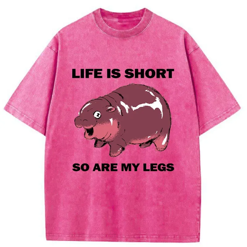 Tokyo-Tiger Short Legs Short Life Washed T-Shirt