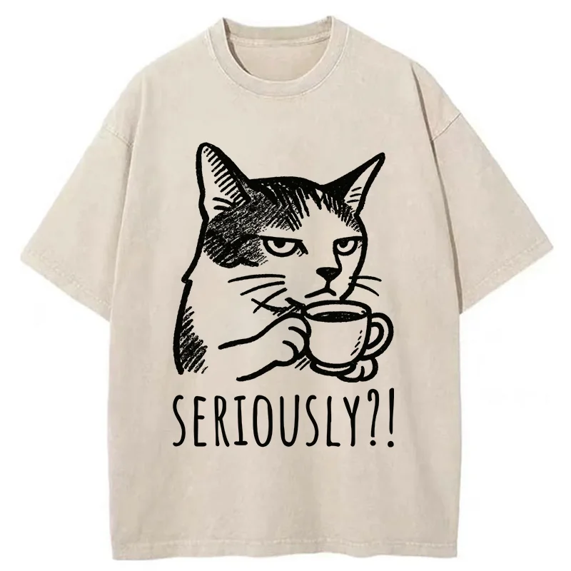 Tokyo-Tiger Cat's Suspicion Washed T-Shirt