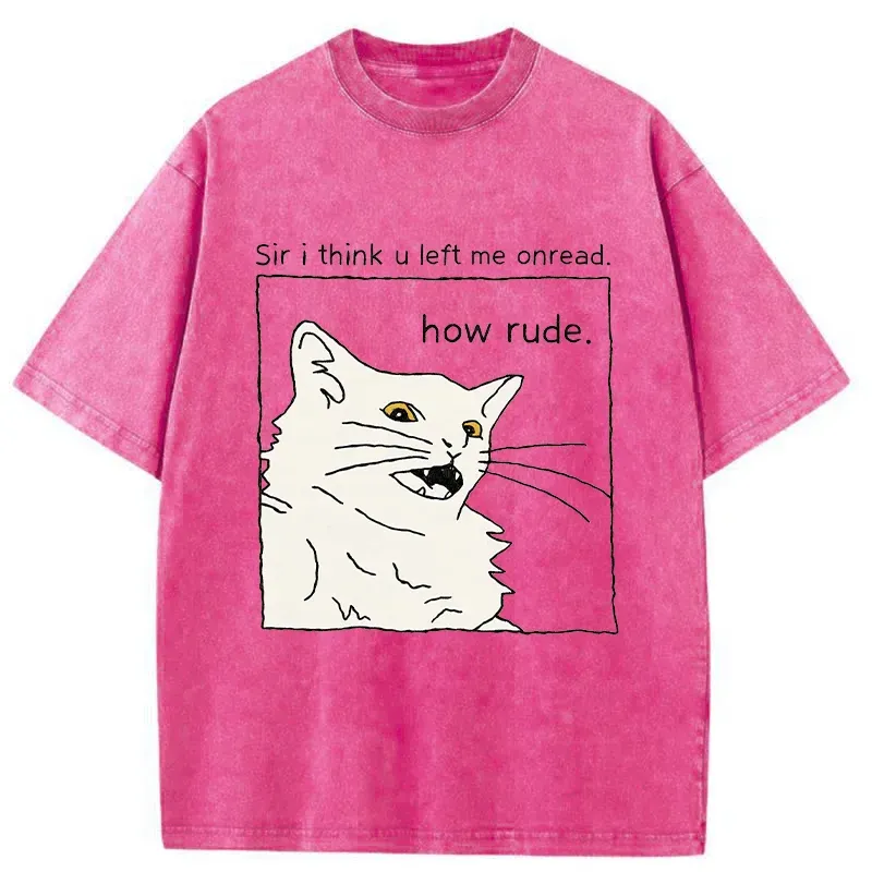 Tokyo-Tiger Cat That Condemn Humans Washed T-Shirt