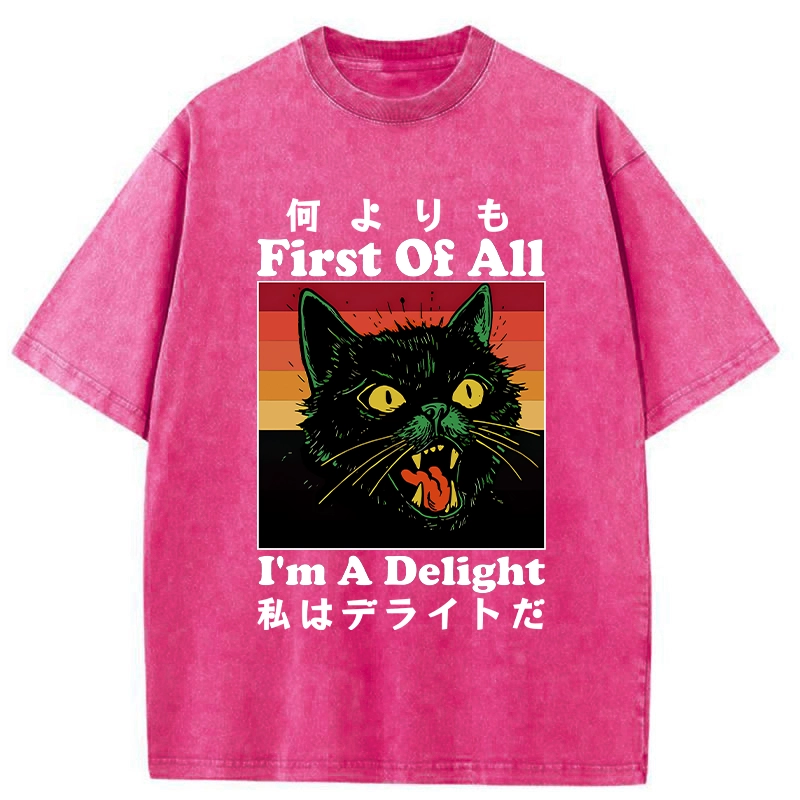 Tokyo-Tiger I'm A Delight Washed T-Shirt