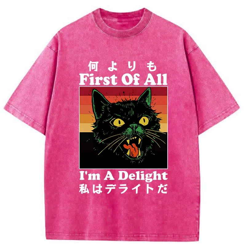 Tokyo-Tiger I'm A Delight Washed T-Shirt