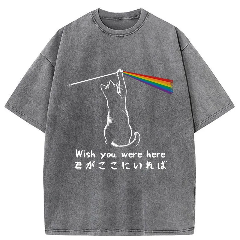 Tokyo-Tiger Wish You Were Here Washed T-Shirt