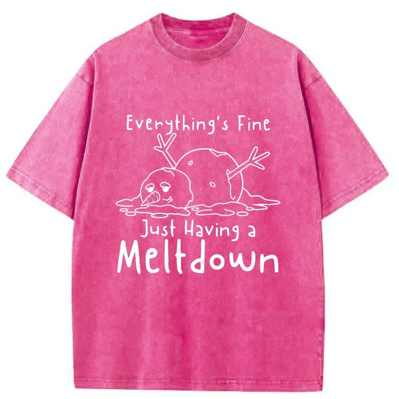 Tokyo-Tiger Snowman Had An Emotional Breakdown Washed T-Shirt