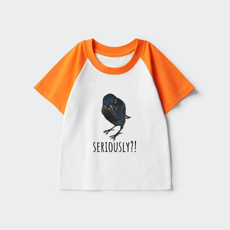 Tokyo-Tiger Raven's Question Kids Raglan T-shirt