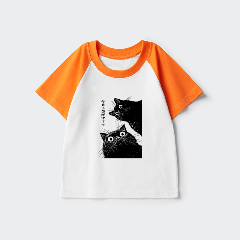 Tokyo-Tiger The Cat Is Watching Today Kids Raglan T-shirt