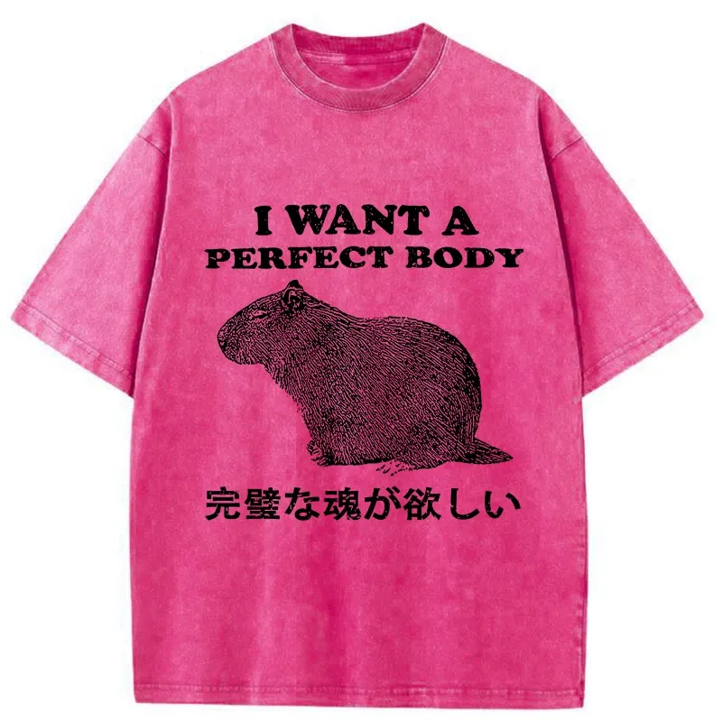 Tokyo-Tiger I Want A Perfect Body Washed T-Shirt