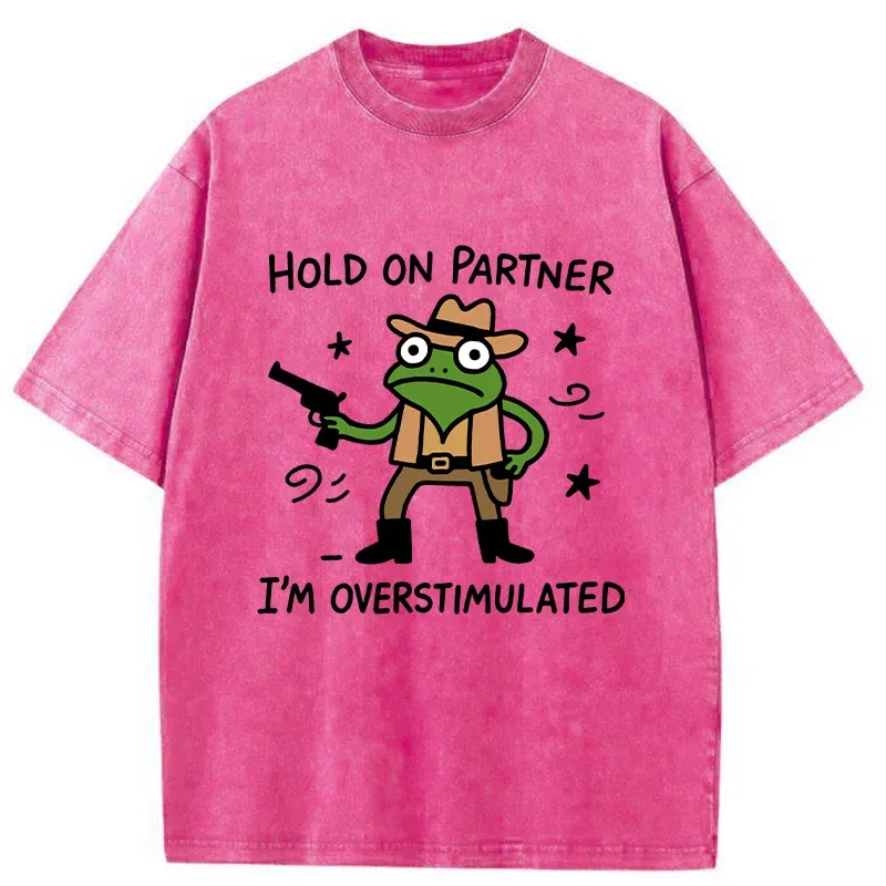 Tokyo-Tiger Overstimulated Frog Washed T-Shirt