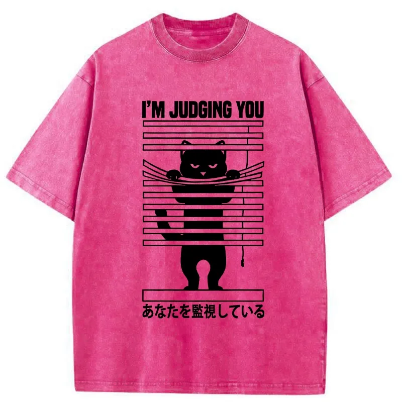Tokyo-Tiger I'm Judging You Washed T-Shirt