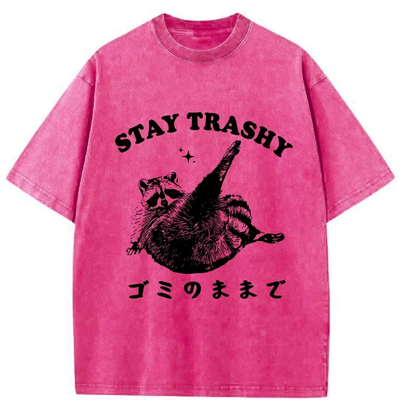 Tokyo-Tiger Raccoon Stay Trashy Washed T-Shirt