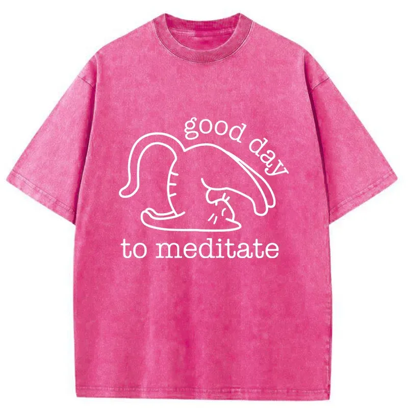 Tokyo-Tiger Cats Doing Yoga Washed T-Shirt