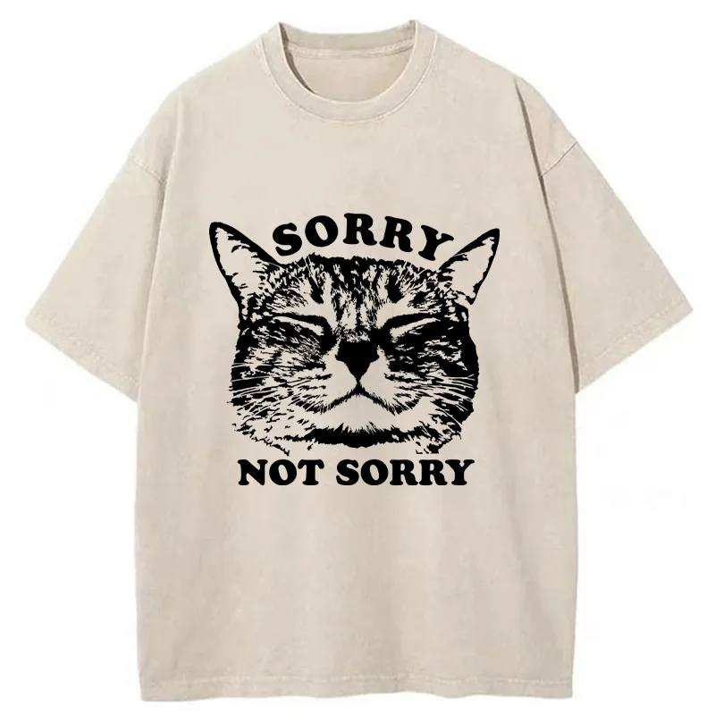 Tokyo-Tiger An Arrogant Apologizer Washed T-Shirt
