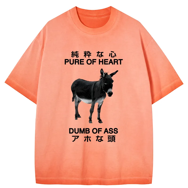 Tokyo-Tiger Pure Of Heart Dumb Of Ass Gradient Washed T-Shirt