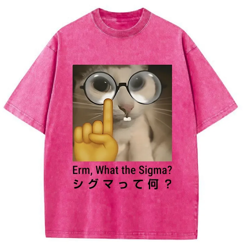 Tokyo-Tiger Erm What The Sigma Washed T-Shirt