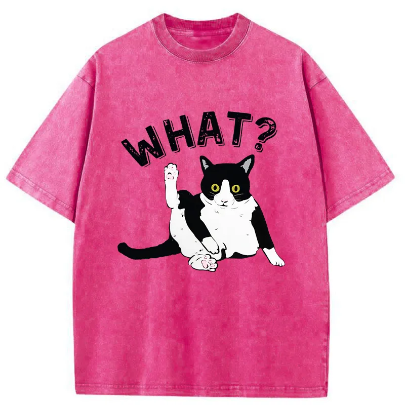 Tokyo-Tiger Cat's Question Washed T-Shirt Sale