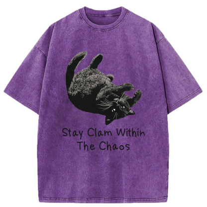 Tokyo-Tiger Stay Clam Within The Chaos Washed T-Shirt