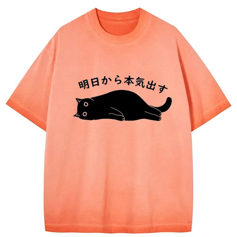 Tokyo-Tiger I'm Going To Get Serious Tomorrow Gradient Washed T-Shirt