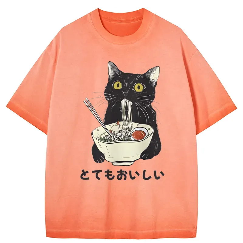 Tokyo-Tiger Cats Eat Ramen Noodles Gradient Washed T-Shirt Sale