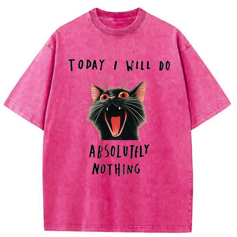 Tokyo-Tiger Today I Will Do Absolutely Nothing Washed T-Shirt