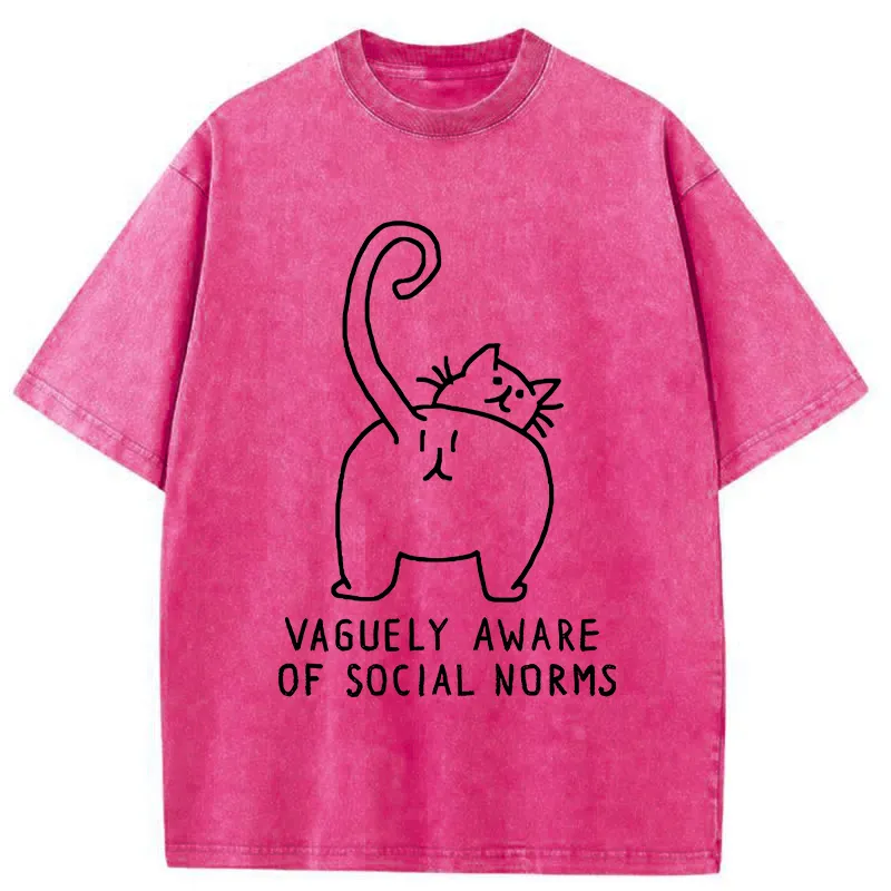 Tokyo-Tiger Vague Understanding Funny Washed T-Shirt