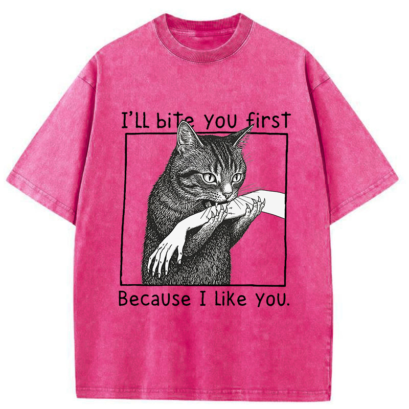 Tokyo-Tiger I Bit You Because I Love You So Much Washed T-Shirt