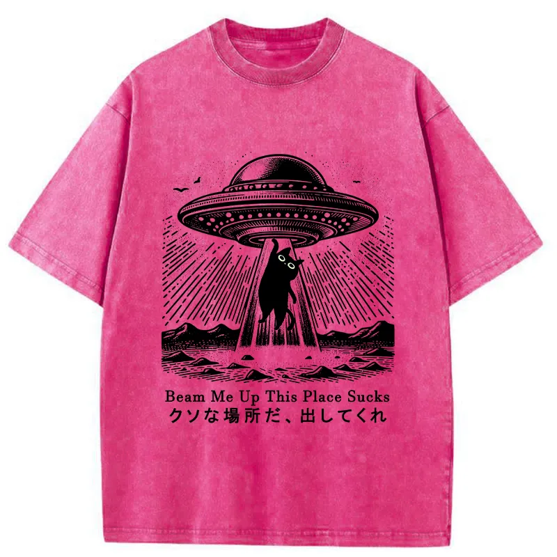 Tokyo-Tiger Please Take Me Away Washed T-Shirt
