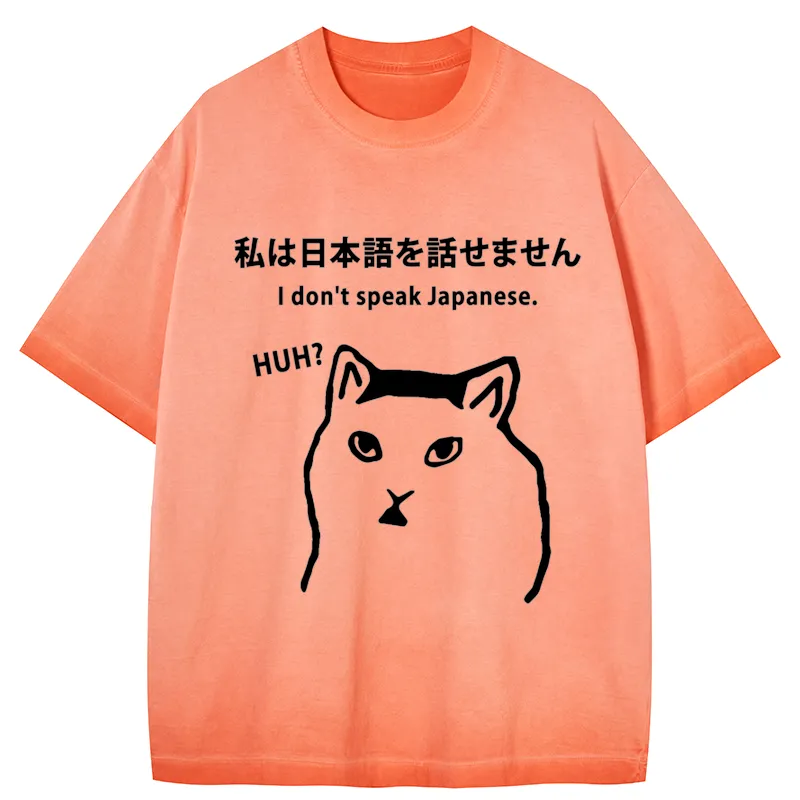 Tokyo-Tiger I Don't Speak Japanese Gradient Washed T-Shirt