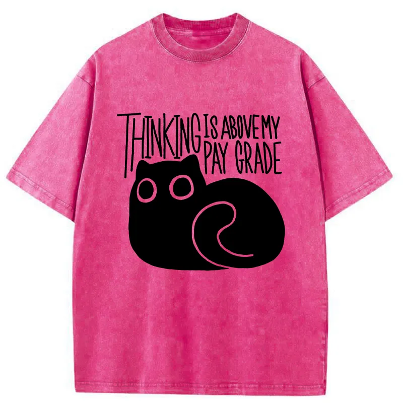 Tokyo-Tiger Thinking Crash Cat Washed T-Shirt