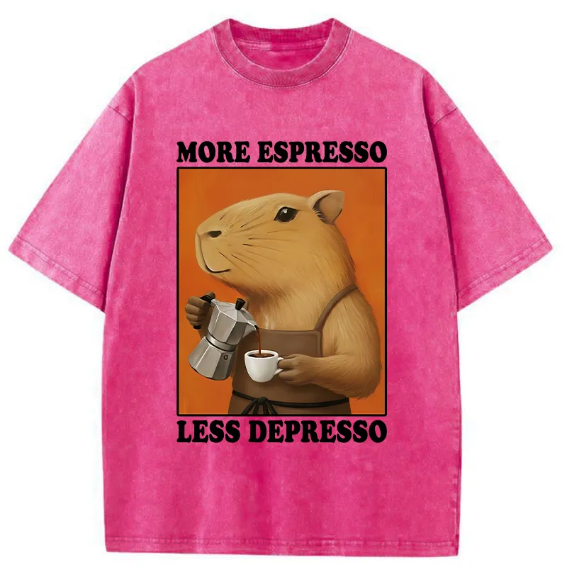 Tokyo-Tiger Capybar Barista Washed T-Shirt