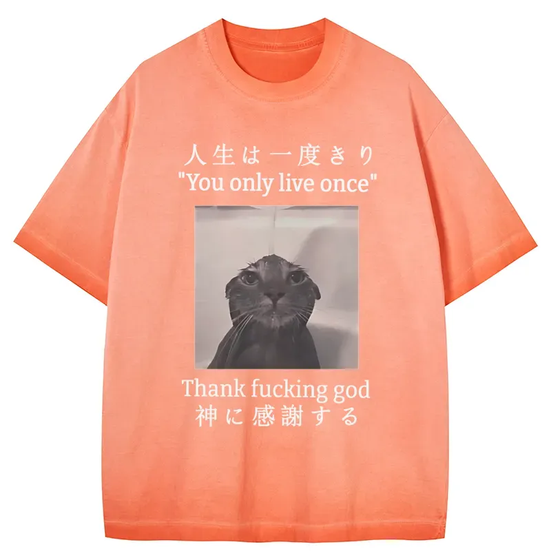 Tokyo-Tiger Funny Melancholy Cat Gradient Washed T-Shirt