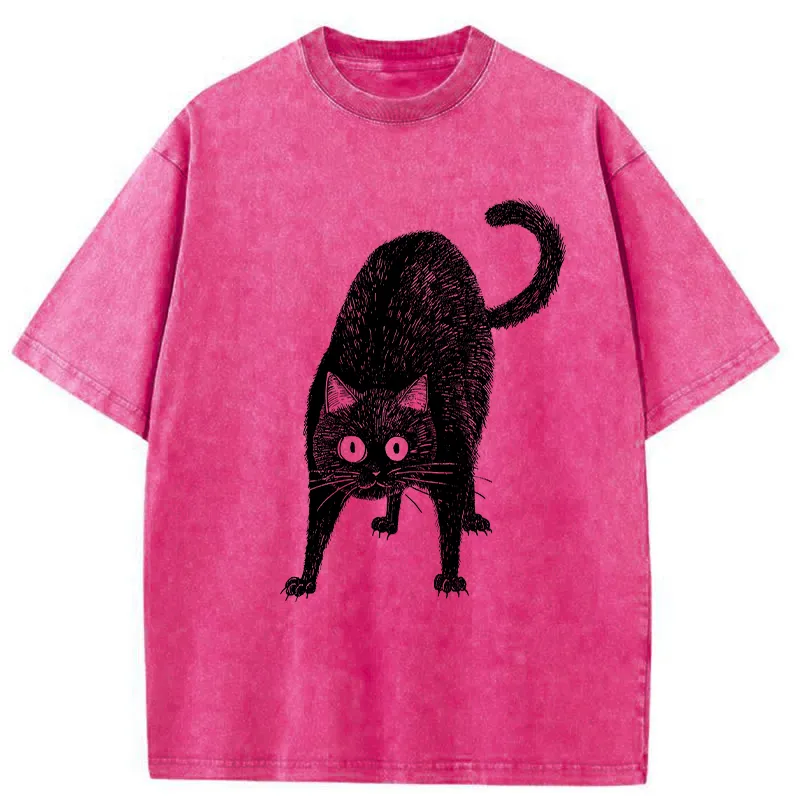 Tokyo-Tiger Alert Cat Washed T-Shirt