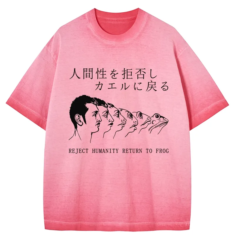 Tokyo-Tiger Return To Frog Gradient Washed T-Shirt