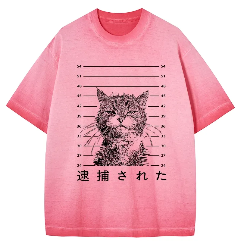 Tokyo-Tiger Cat That Was Arrested Gradient Washed T-Shirt