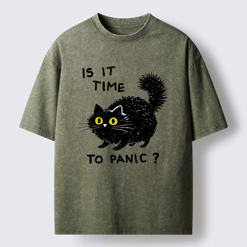 Tokyo-Tiger Is It Time To Panic Washed T-Shirt