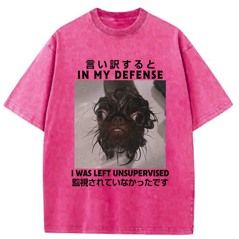 Tokyo-Tiger I Was Left Unsupervised Washed T-Shirt
