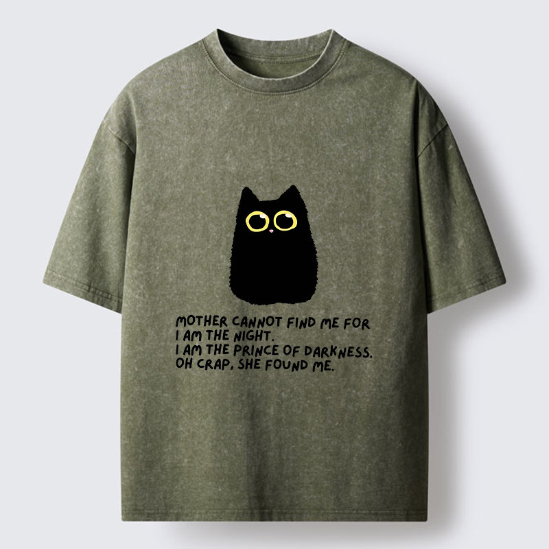 Tokyo-Tiger Playing Hide-and-seek With A Black Cat Washed T-Shirt