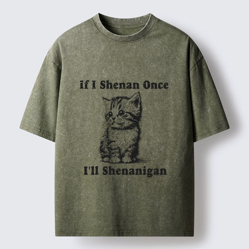 Tokyo-Tiger Saint Patrick's Cat Washed T-Shirt