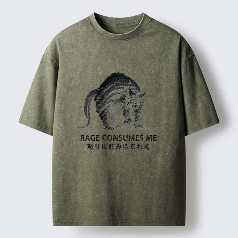 Tokyo-Tiger Rage Consumes Cat Washed T-Shirt