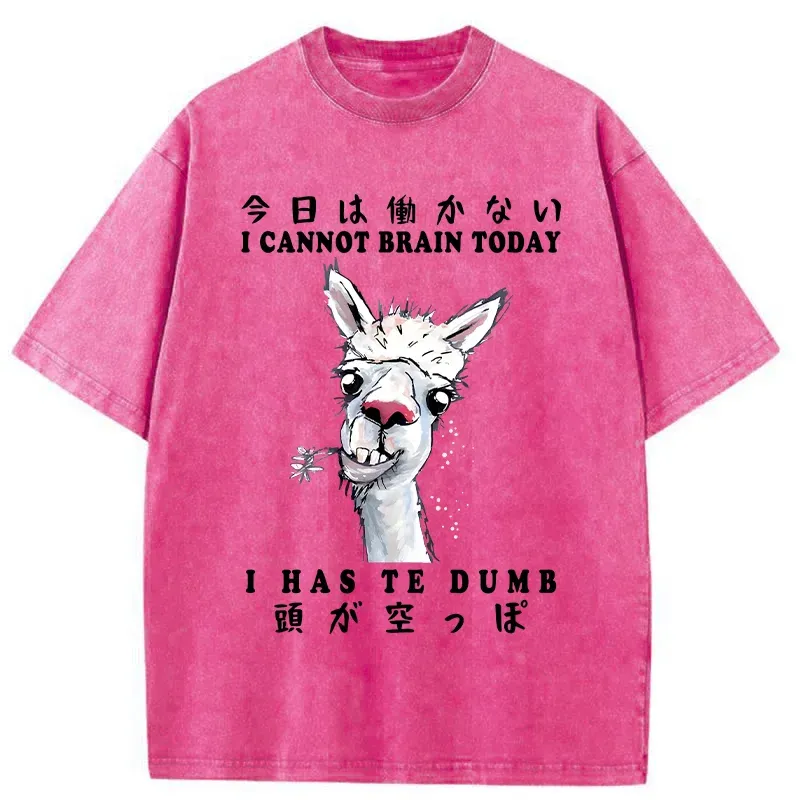 Tokyo-Tiger Empty-headed Alpaca Washed T-Shirt
