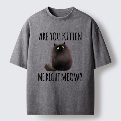 Tokyo-Tiger Kitten Me Right Meow Washed T-Shirt