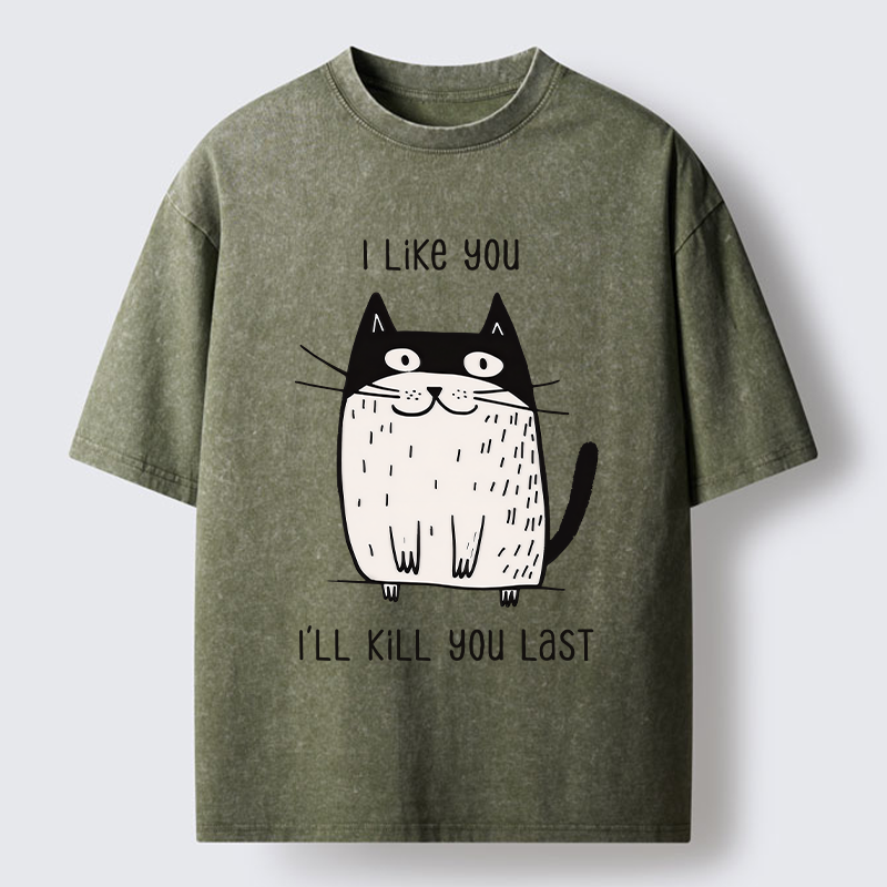 Tokyo-Tiger Cats Both Love And Hate Washed T-Shirt