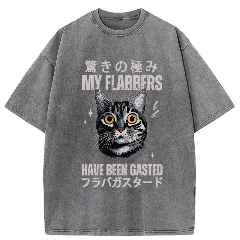 Tokyo-Tiger My Flabbers Have Been Gasted Washed T-Shirt