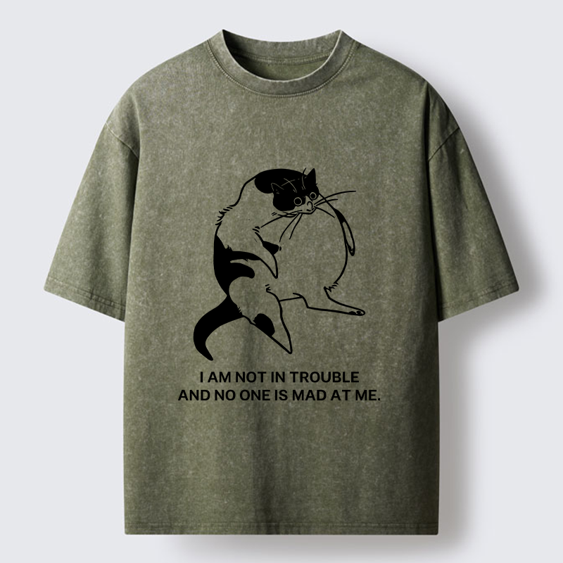 Tokyo-Tiger Introverted Kitten Japan Washed T-Shirt