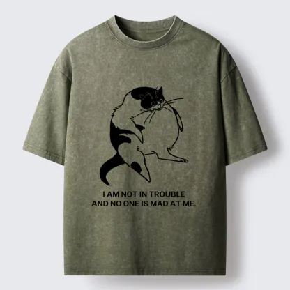 Tokyo-Tiger Introverted Kitten Japan Washed T-Shirt