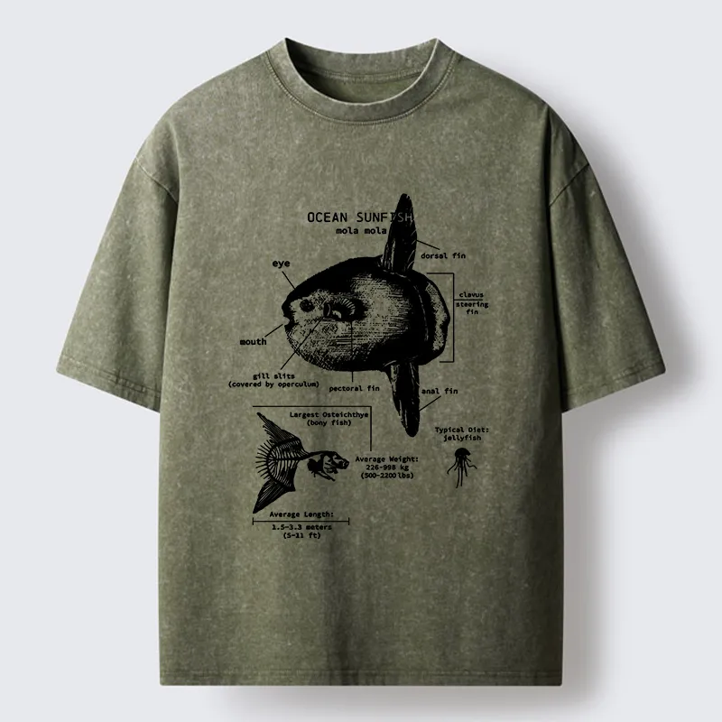 Tokyo-Tiger Sunfish Funny Washed T-Shirt