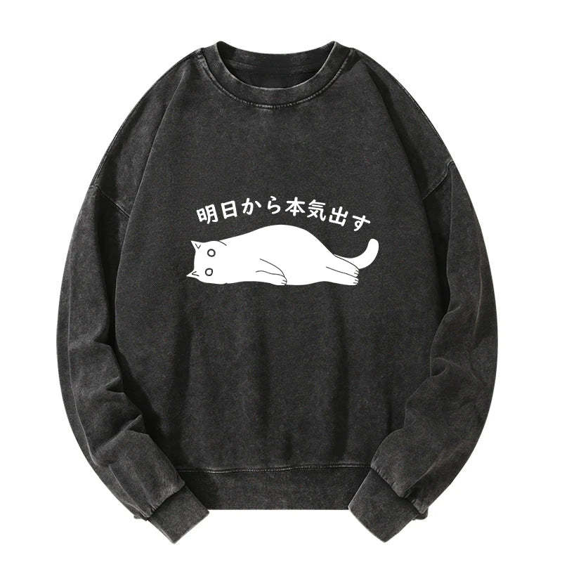 Tokyo-Tiger I'm Going To Get Serious Tomorrow Washed Sweatshirt