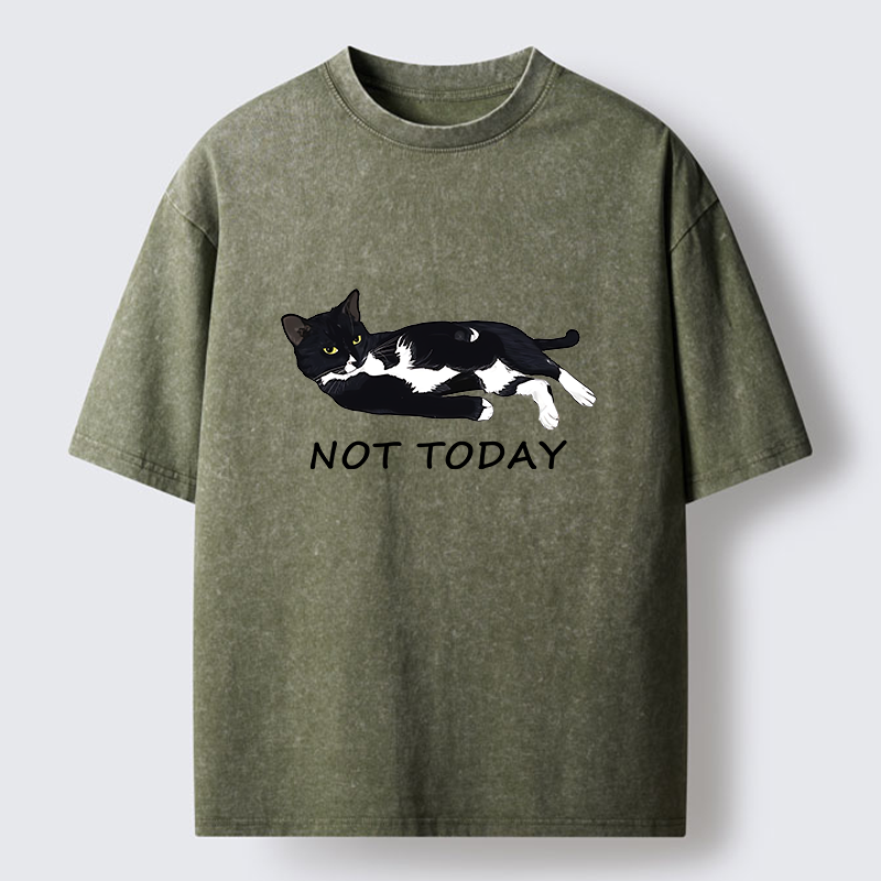 Tokyo-Tiger Cat Said Not Today Washed T-Shirt